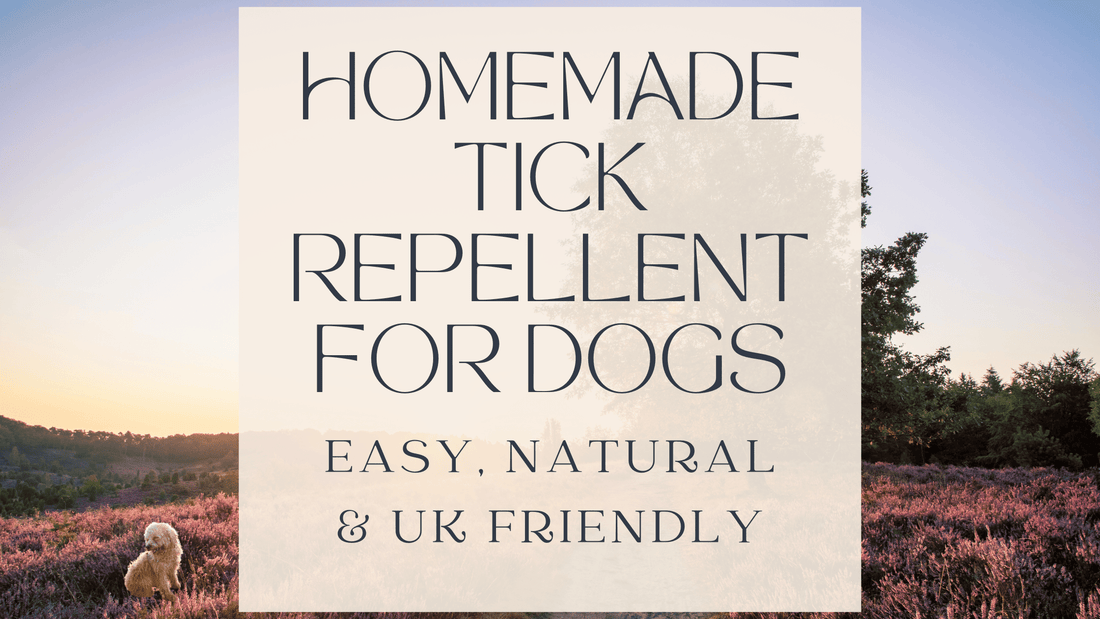 Homemade Tick Repellent for Dogs: Easy, Natural & UK-Friendly Recipes - Fetch & Fettle