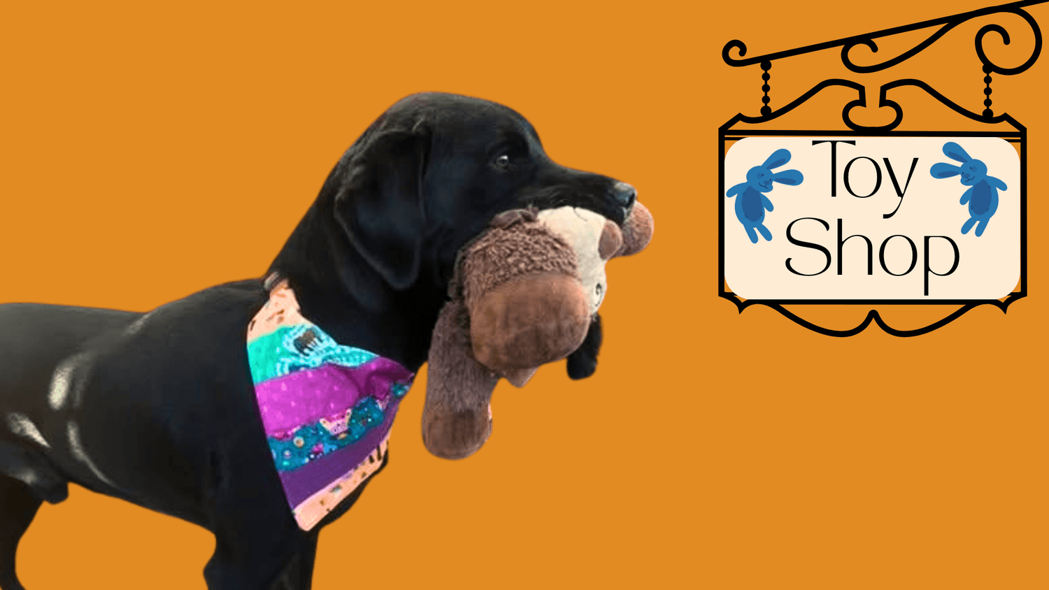 Handcrafted eco-friendly dog collars, leashes, bandanas & accessories for large dogs UK – Fetch & Fettle