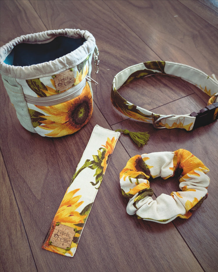 Summer - Fetch & Fettle