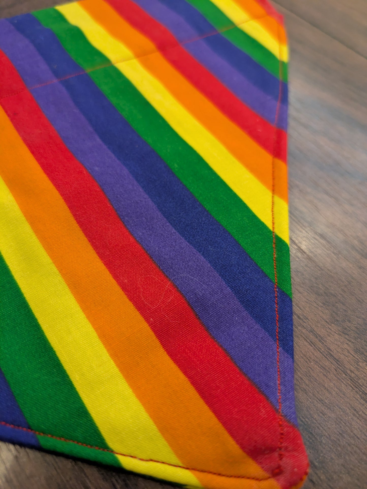 Rainbow Dog Bandana - L