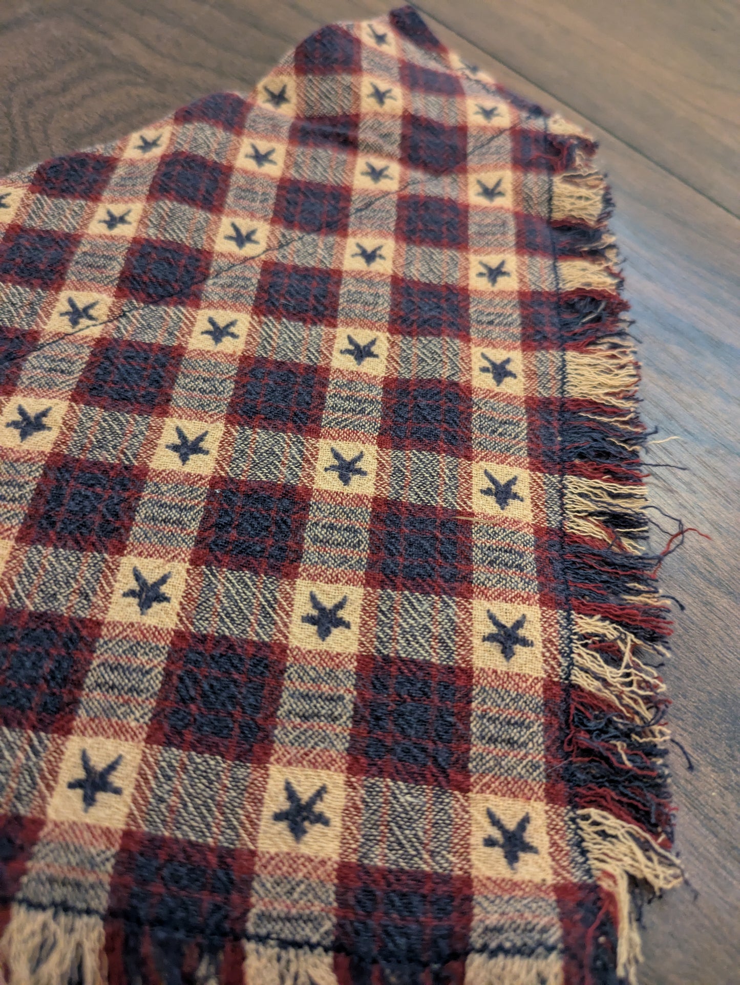 Fringed Cowboy Check Dog Bandana