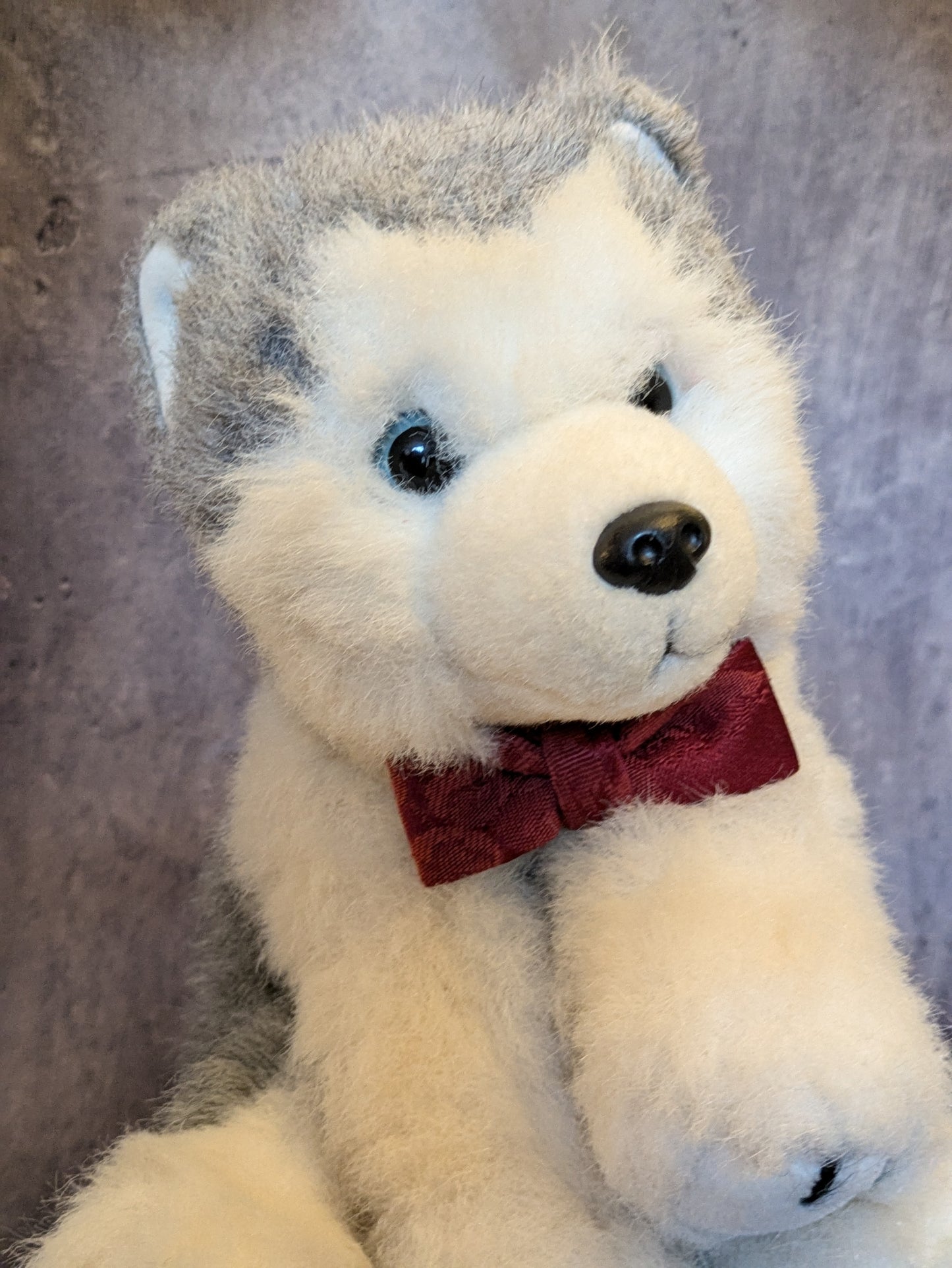 Dog Bow/Bow Tie - Maroon