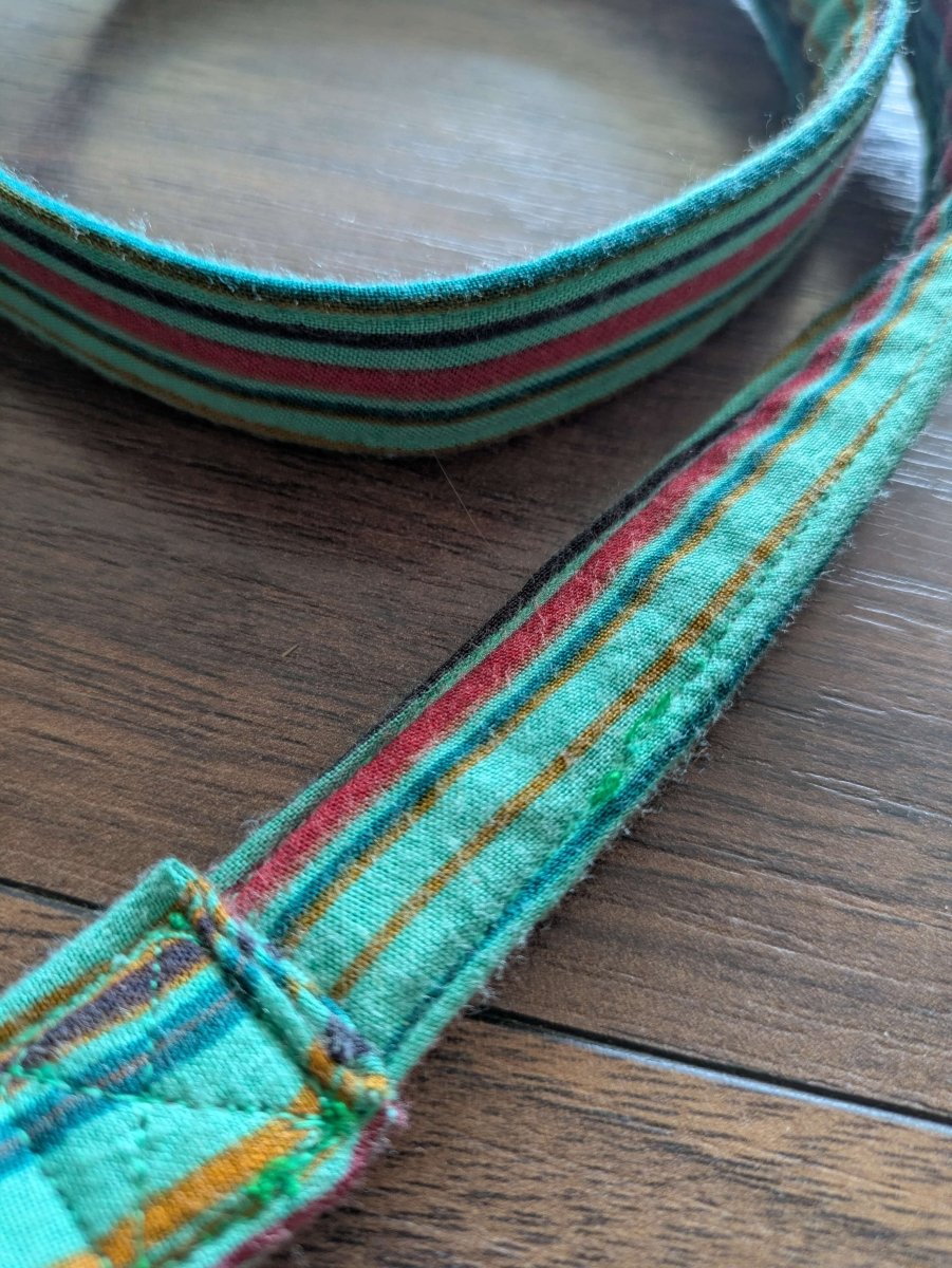 Turquoise spice - lead (4 foot) - Fetch & Fettle