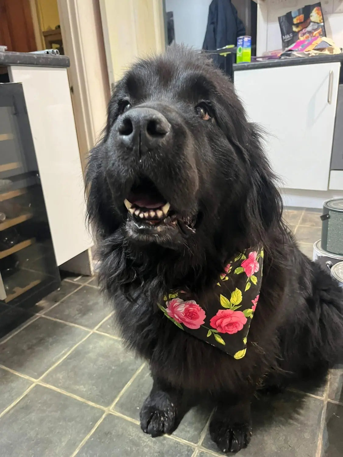 Rose Dog Bandana - L - Fetch & Fettle