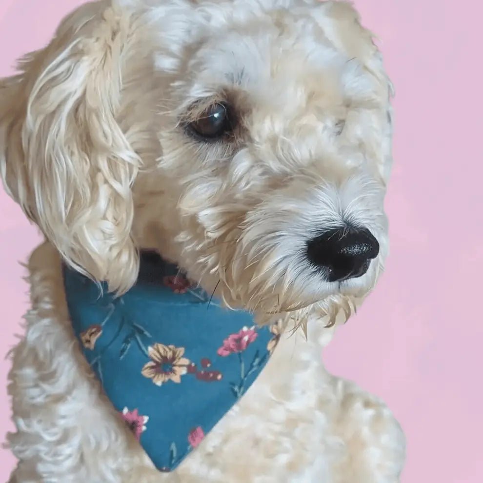 Country Garden Dog Bandana - XS - Fetch & Fettle