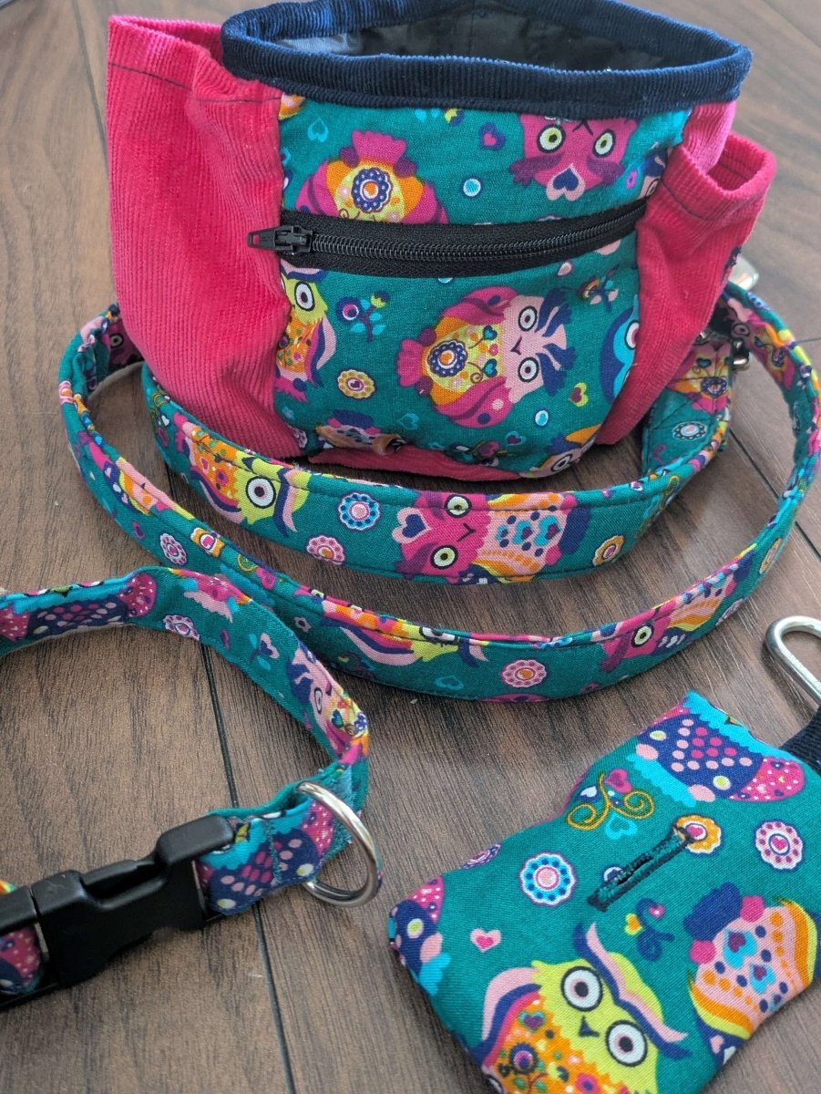 Bright owl dog collar (small) - Fetch & Fettle