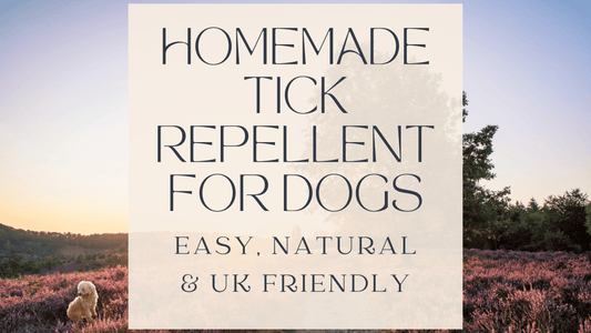 Homemade Tick Repellent for Dogs: Easy, Natural & UK-Friendly Recipes - Fetch & Fettle