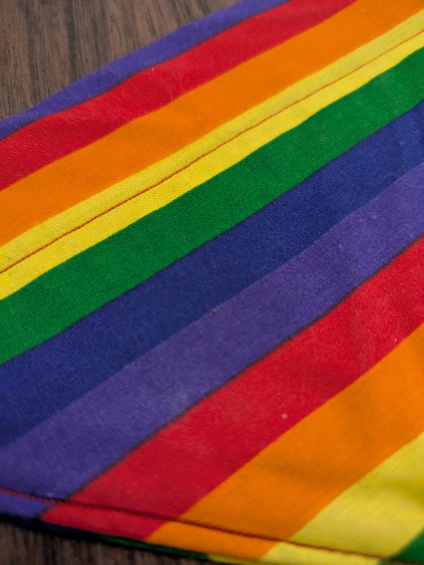 Rainbow Dog Bandana - S