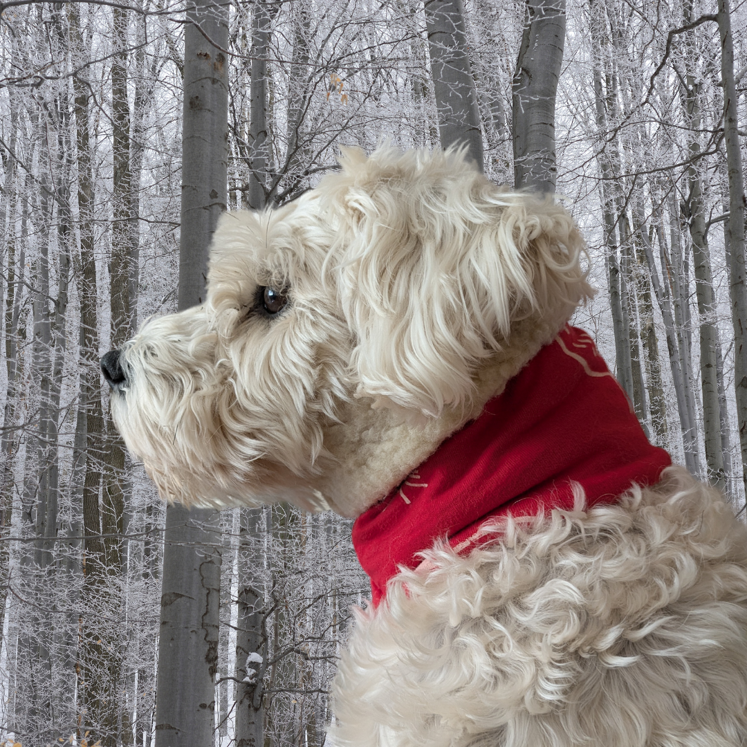 Custom Upcycled Dog Snood